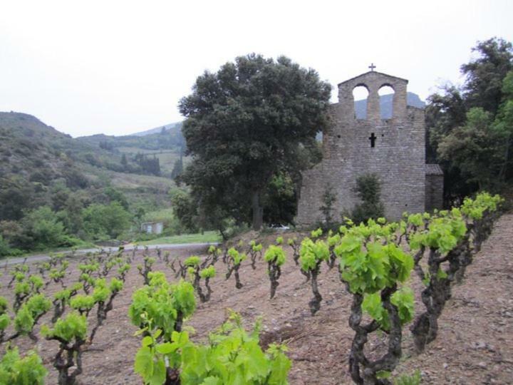 Maison De La Fontaine Embres-et-Castelmaure Εξωτερικό φωτογραφία